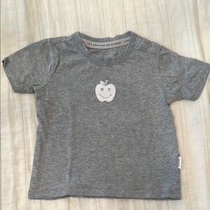 Gray Kids T-Shirt with Apple Design
